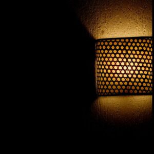 Dandelion wall lamp