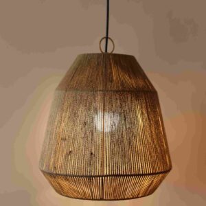 Buy Ceiling Lamp Online in India