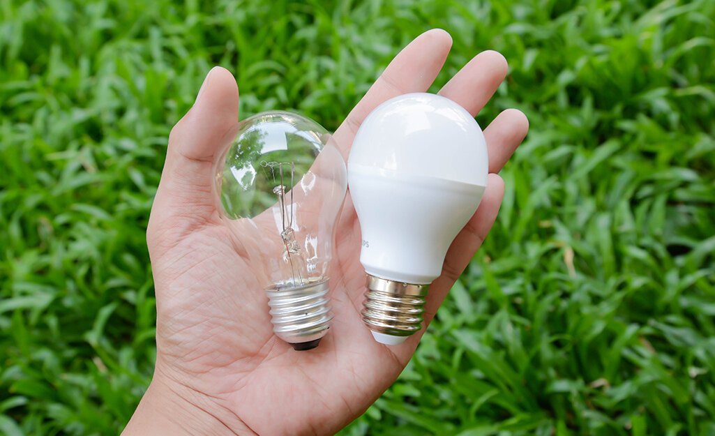 Eco Friendly Light Bulbs