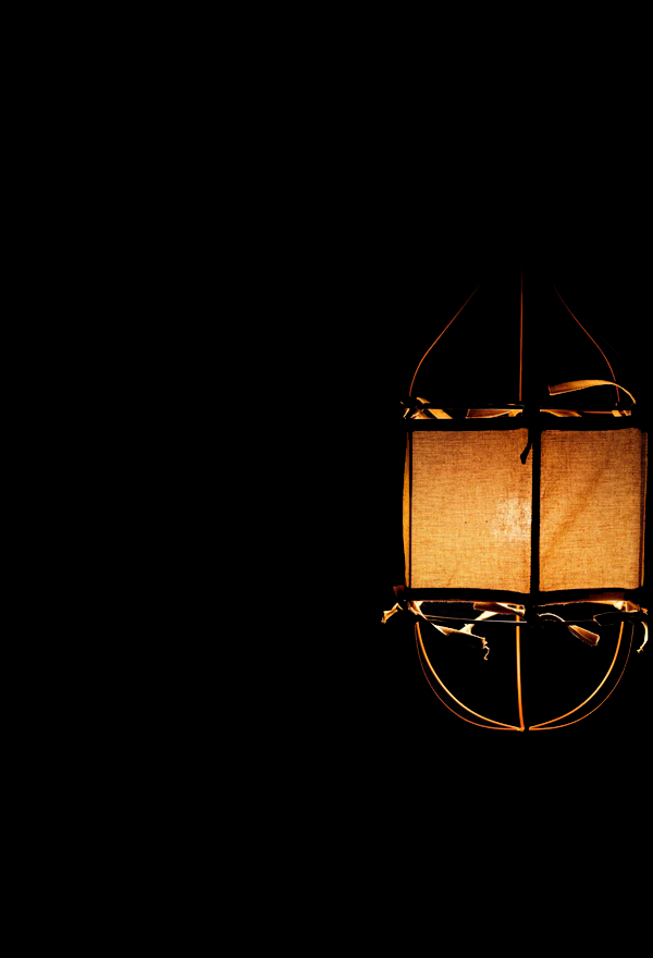 Canopy - Pendant Lamp