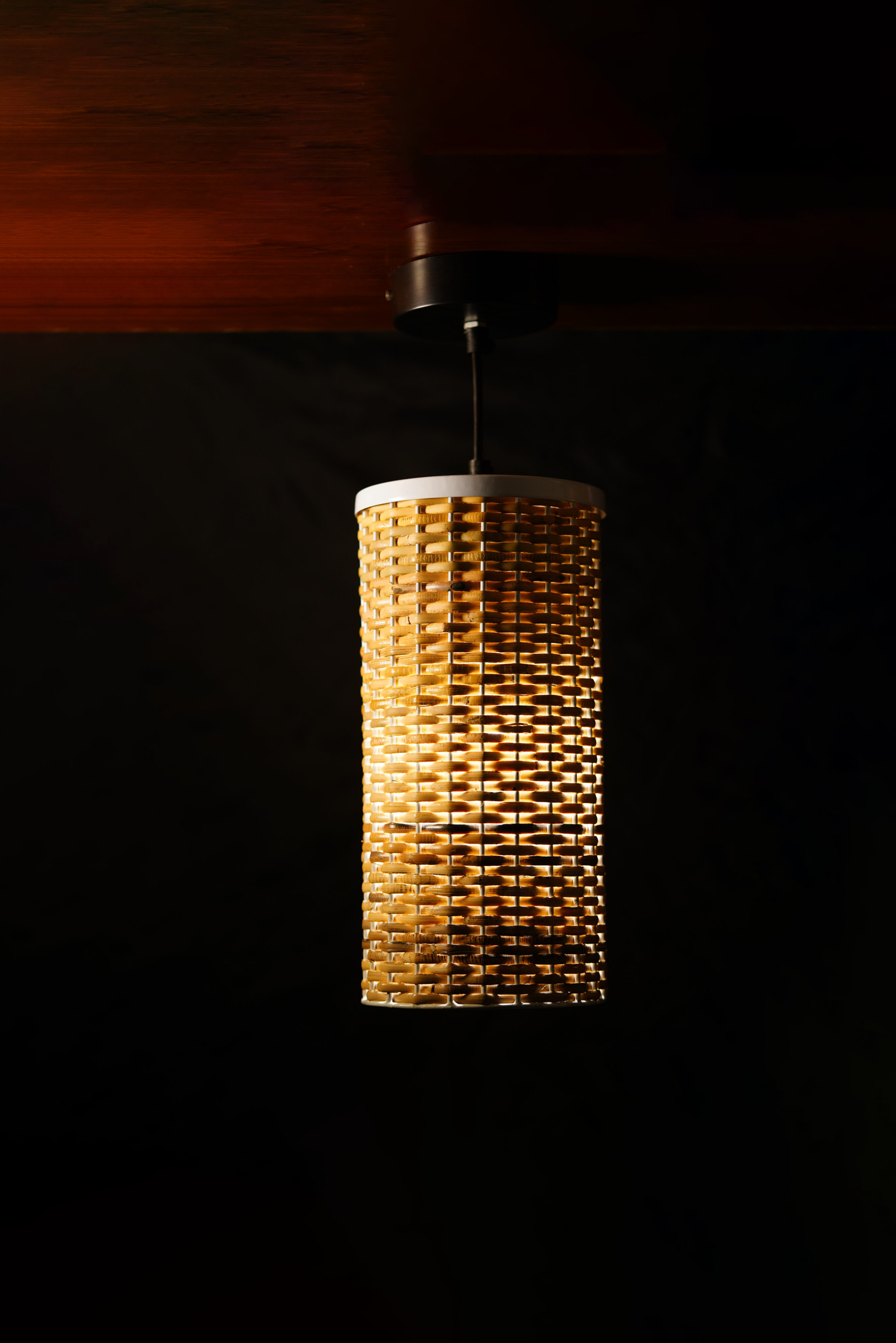 Gaya - Pendant Lamp